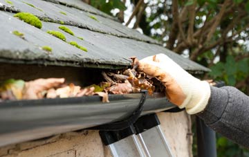 gutter cleaning Lower Penarth, The Vale Of Glamorgan